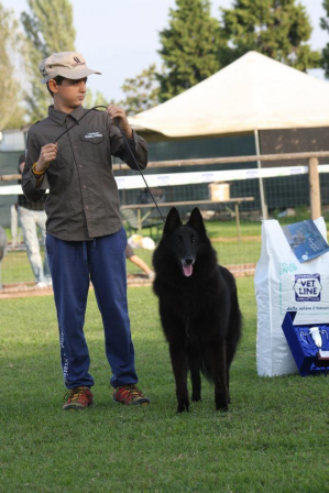 07.10.2012 - Dolly al Campionato di Allevamento Italiano